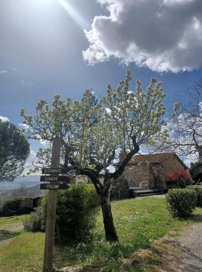 Al Podere Del Nonno Romolo Sansepolcro Kültér fotó