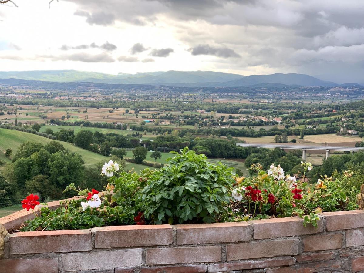 Al Podere Del Nonno Romolo Sansepolcro Kültér fotó