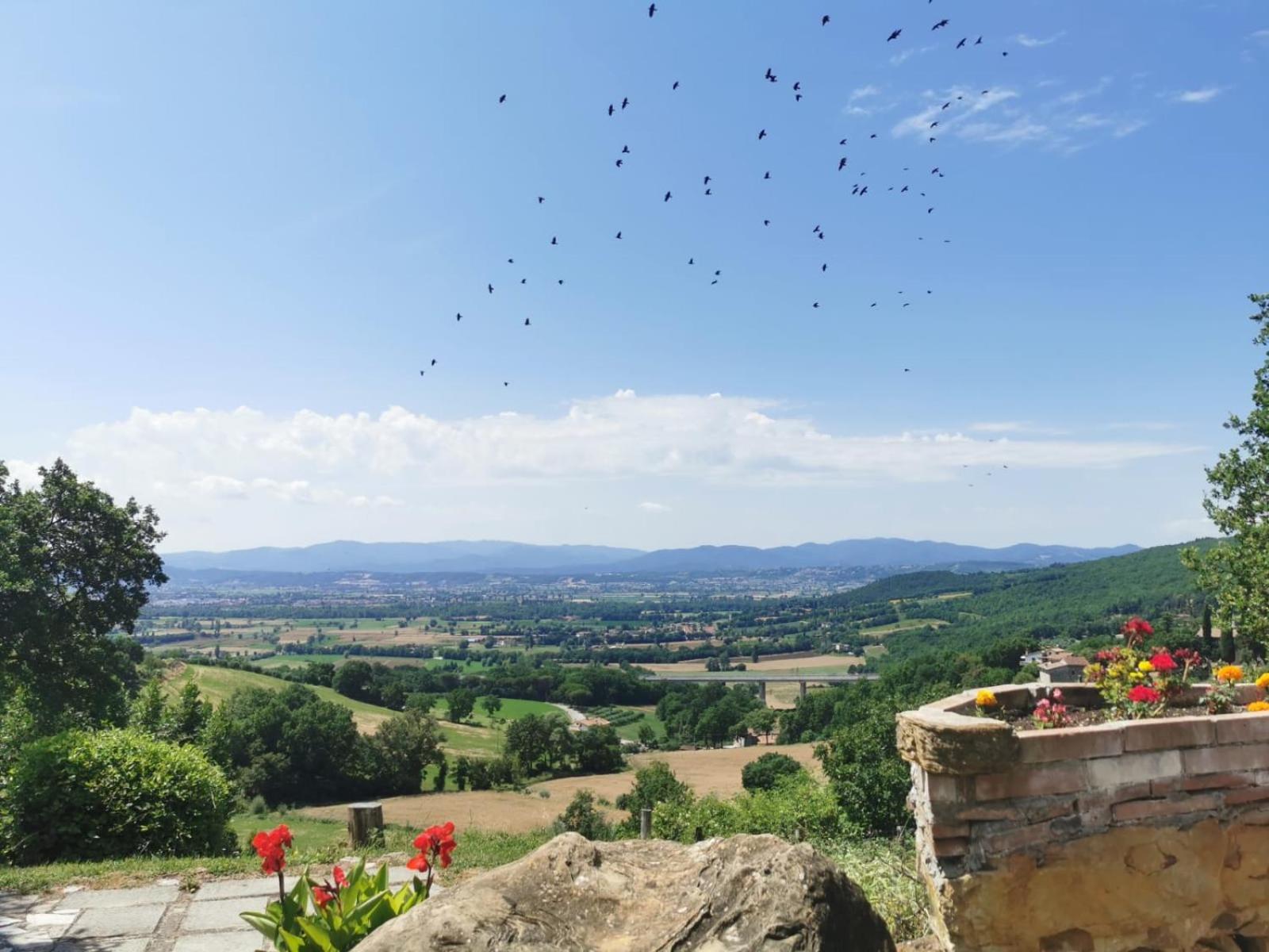 Al Podere Del Nonno Romolo Sansepolcro Kültér fotó